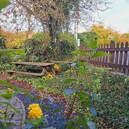 Al Fontaine * La-Roche-en-Ardenne